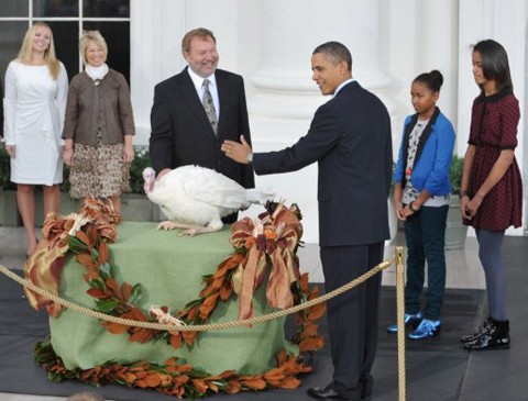 Tổng thống Obama vui vẻ tuyên bố ân xá cho gà tây Liberty. Ông đùa rằng đây là việc duy nhất ông tự quyết định mà không cần phải thông qua quốc hội. Sau khi được ân xá, Liberty và Peace sẽ được đưa về nuôi tại trang trại gia đình George Washington ở Mount Vernon, bang Virginia. Ảnh: AFP